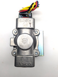 Solenoid Valve - 2 way  -  Asco Redhat JDFX8215C030MB0595 - Rebuild kit 314805