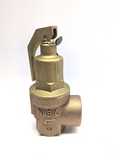 RELIEF VALVE DN25 - Hot Water  / Steam / air - NABIC FIG 542 SAFETY